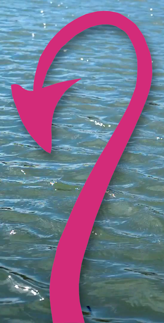 About – devilsrowing